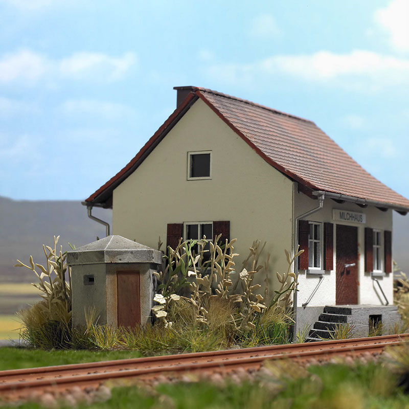 1027 1260  Bunker Gestrüpp Stimmung