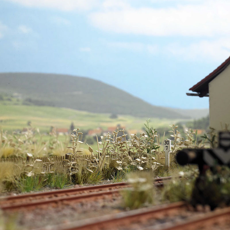 1260 Gestrüpp Stimmung