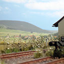 1260 Gestrüpp Stimmung