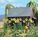 %_tempFileName1261%20Riesen-Sonnenblumen%