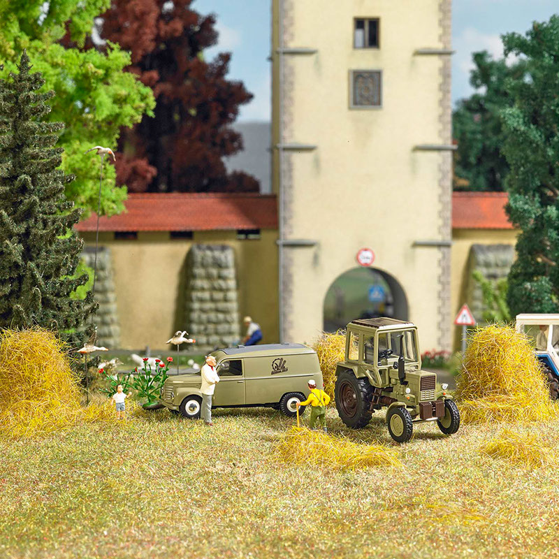 51207 51303 Goldene Ähre Stimmung