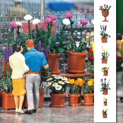 Flower Pots With Flowers