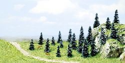 20 pine trees