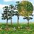 �Groundcover�-Bodendecker: Heideland