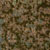 �Groundcover�-Bodendecker: Moorlandschaft