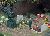 Graves with lamps