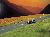 Country road