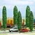5 silver poplars