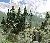 Wald-Set