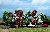 16 Fr�hlingsb�ume