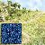 Streupulver blau