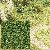 Schaumstoff-Flocken maigr�n