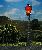 2 Oldtimer lamps
